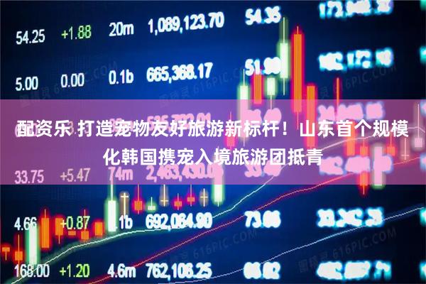 配资乐 打造宠物友好旅游新标杆！山东首个规模化韩国携宠入境旅游团抵青