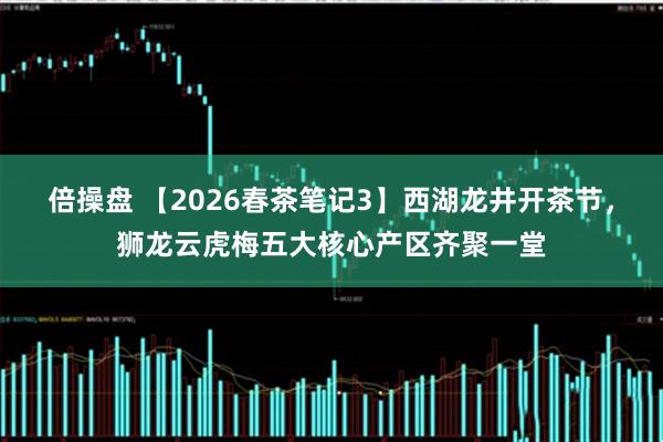 倍操盘 【2026春茶笔记3】西湖龙井开茶节，狮龙云虎梅五大核心产区齐聚一堂